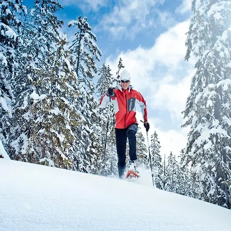 In Hollersbach Im Pinzgau