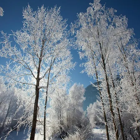 In Hollersbach Im Pinzgau