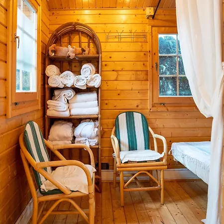 Hébergement de vacances In Hollersbach Im Pinzgau *