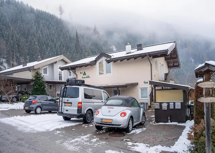 In Hollersbach Im Pinzgau Tatil Evi