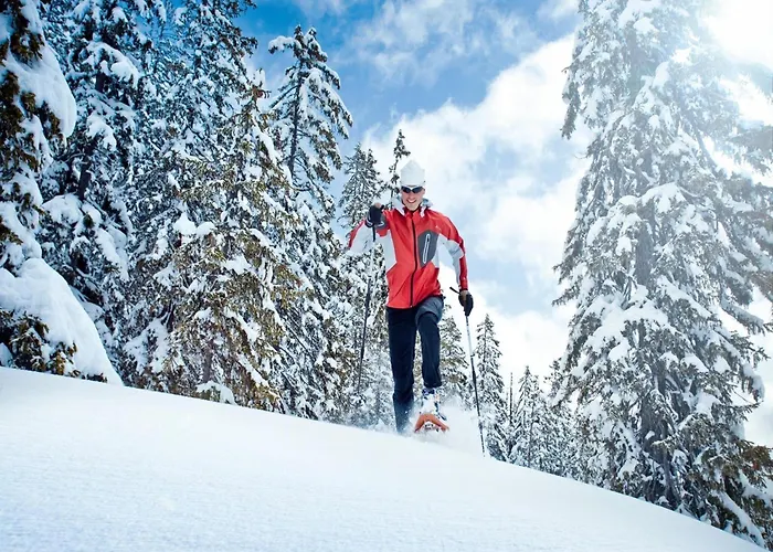 In Hollersbach Im Pinzgau