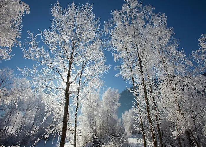 In Hollersbach Im Pinzgau